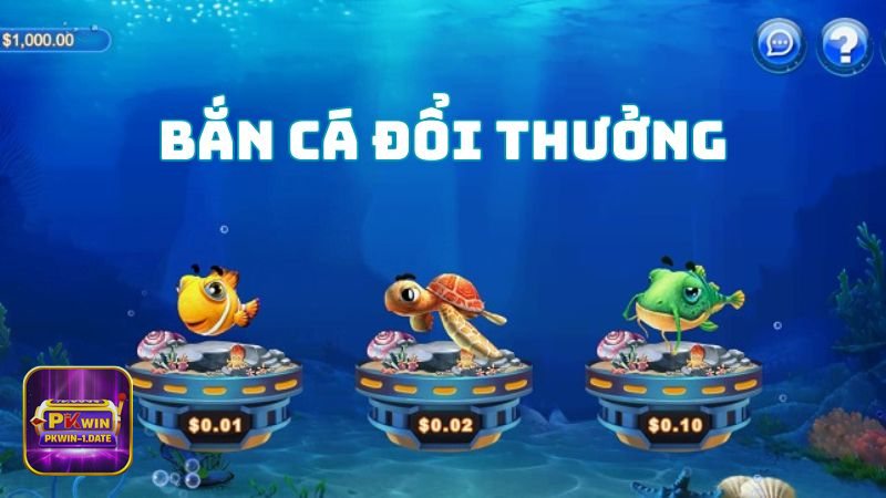Bắn Cá pkwin - Giao diện trực quan, thao tác nhanh